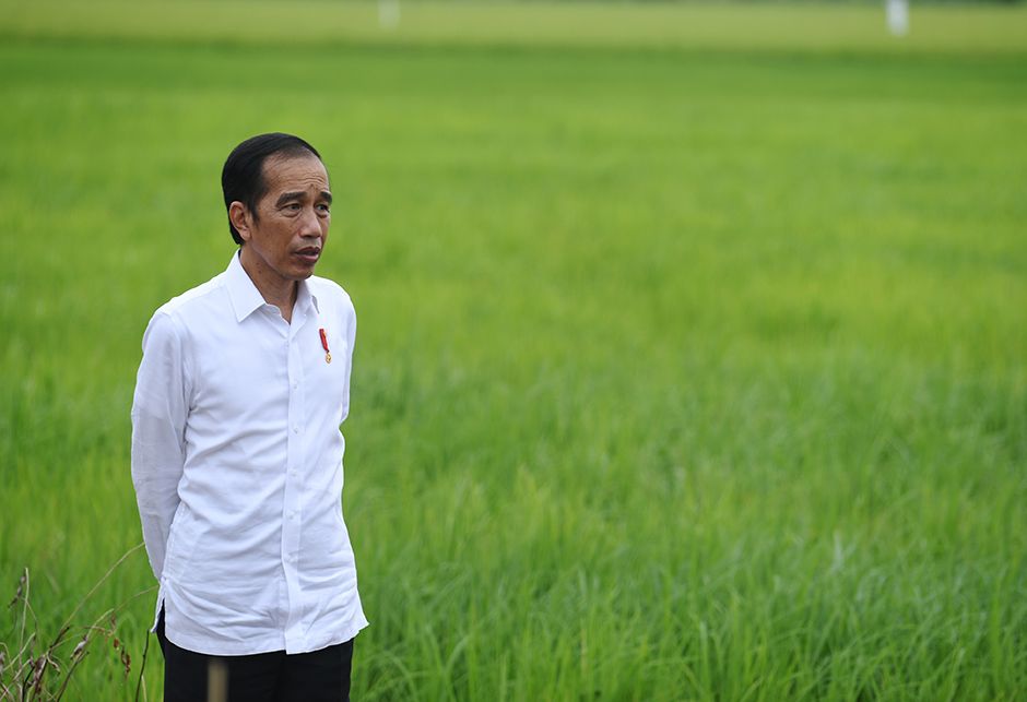 Mengenal Food Estate, Program Jokowi yang Disebut PDI-P Proyek Kejahatan Lingkungan