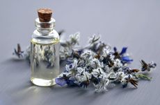 5 Essential Oil yang Bisa Atasi Mual dan Mabuk Saat Mudik