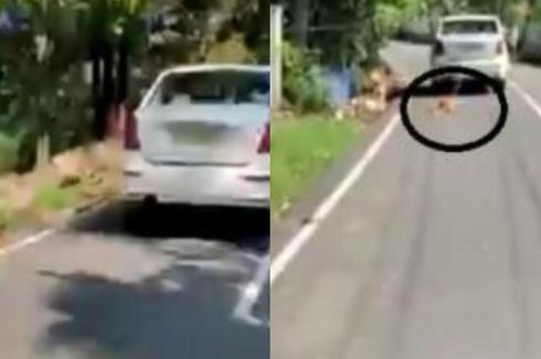 Anjing Peliharaan Diikat di Mobil dan Diseret Sepanjang Jalan, Pria Ini Ditangkap Polisi