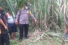 Kepala Desa Tewas Tersambar Petir Saat Tinjau Ladang Sawit 