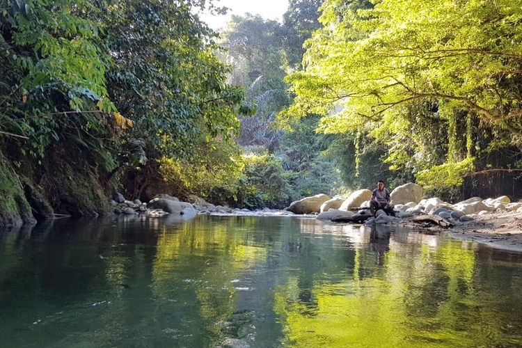 Sungai yang jernih dan pepohonan di pinggirnya merupakan pemandangan di Ilomata River Camp. Desa ini mampu bangkit setelah didera pandemi Covid-10 dengan program ekowisatanya.