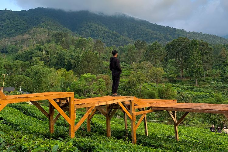 Tea Bridge di kawasan Agrowisata Gunung Mas, Puncak Bogor