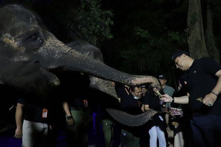 Wali Kota Eri Cahyadi hadir bersama keluarga untuk meninjau persiapan pembukaan paket wisata Surabaya Night Zoo dari Kebun Binatang Surabaya (KBS), Minggu (21/5/2023).