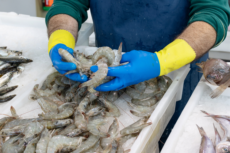 Ilustrasi Kenapa Tidak Boleh Makan Makanan yang Terpapar Radioaktif Cesium-137? Ini Penjelasan Ilmiahnya