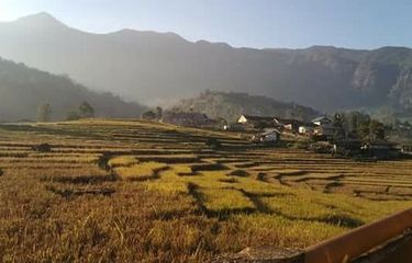 Hamparan persawahan di Lembah Ranggu dengan latar belakang Poso Kuwuh, Kecamatan Kuwus, Kabupaten Manggarai Barat, NTT. 