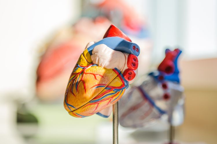 Penggumpalan darah bisa membahayakan jantung, jadi kenali gejala-gejalanya.