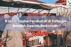 5 Jenis Usaha Penduduk di Dataran Rendah Daerah Perkotaan