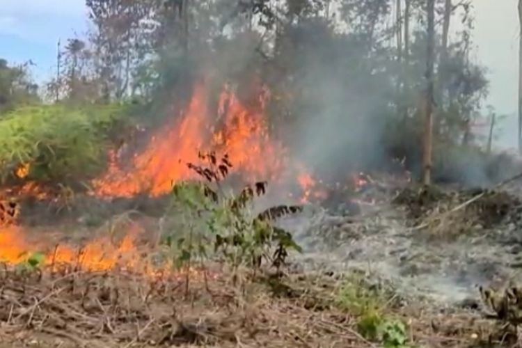 Kebakaran hutan di Desa Tanjung Medan, Kecamatan Rokan IV Koto, Kabupaten Rokan Hulu, Riau, Senin (8/8/2022).