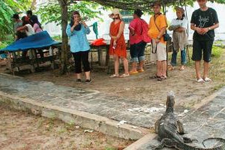 Pulau Biawak di Kabupaten Indramayu, Jawa Barat, berjarak sekitar 40 mil (74 kilometer) dari daratan utama kabupaten itu. Pulau yang bernama asli Pulau Rakit ini lebih dikenal sebagai Pulau Biawak karena pulau itu menjadi habitat alami dari biawak. Kekhasan itu menjadikan Pulau Biawak sebagai salah satu tujuan wisata di Kabupaten Indramayu. 