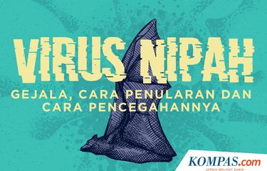 Virus Nipah, Gejala, Cara Penularan dan Pencegahannya