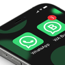 Perbedaan WhatsApp Bisnis dan WhatsApp Biasa Beserta Fitur-fiturnya 