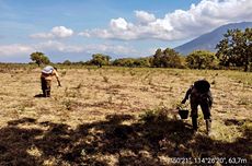 Taman Nasional Baluran Ditutup Sementara, Ini Penyebabnya