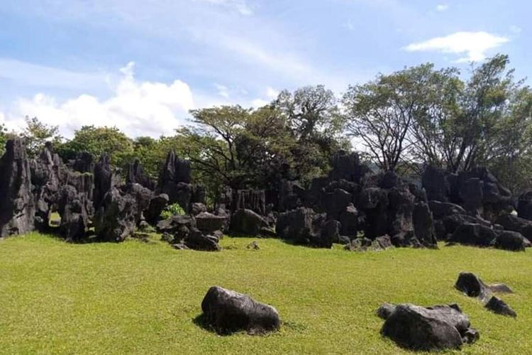 UNESCO telah menetapkan Geopark Maros Pangkep resmi menjadi Maros Pangkep UNESCO Global Geopark. 