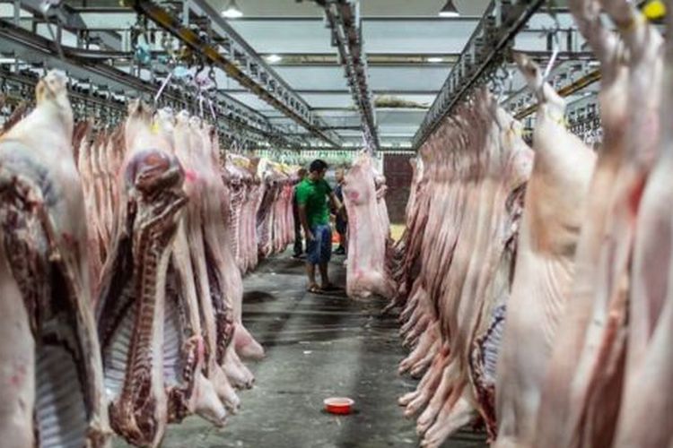 Kepala Dinas Ketahanan Pangan dan Peternakan Sumut, Azhar Harahap mengatakan bahwa kasus kematian babi terjadi di peternakan masyarakat, bukan peternakan yang dikelola perusahaan. 