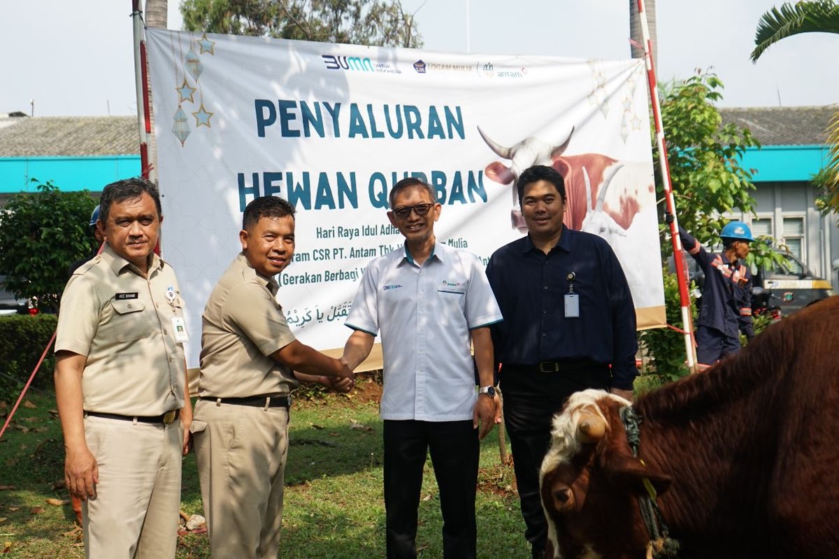 Salah satu penyaluran hewan kurban Antam yang dilakukan di Jakarta oleh UBPP Logam Mulia.
