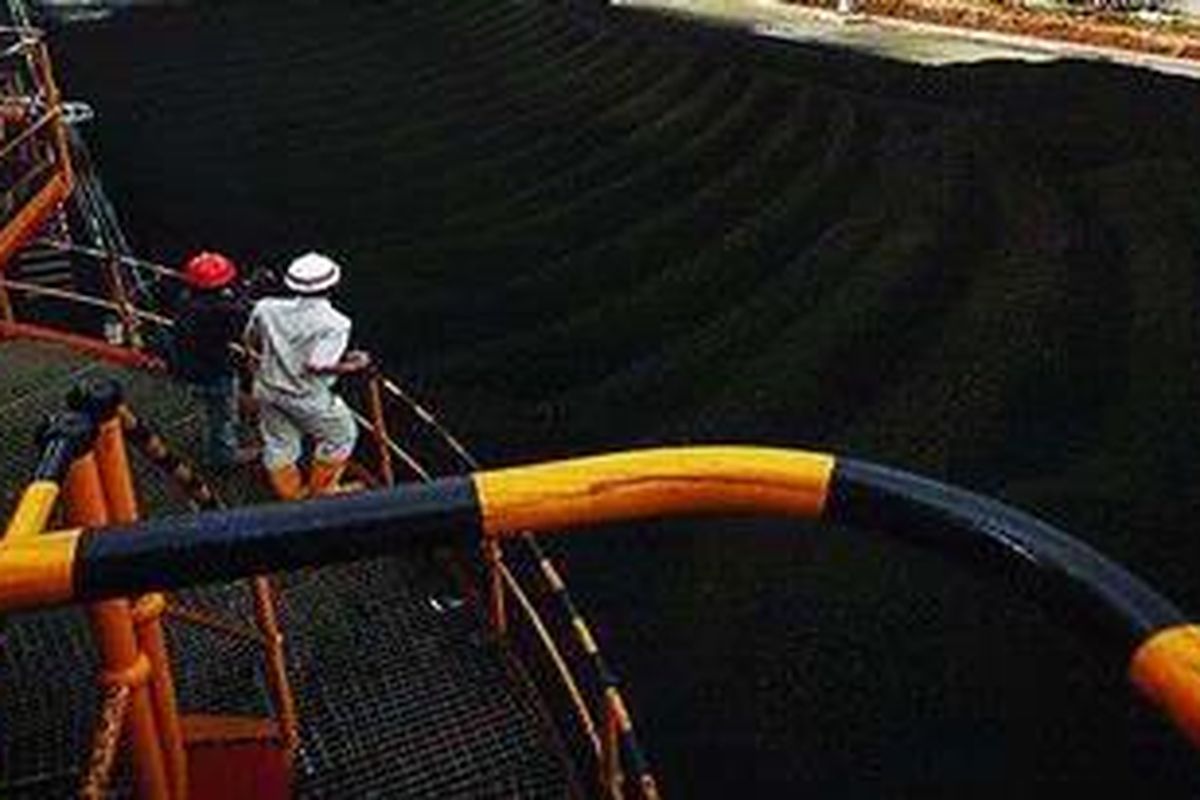 Stok batu bara mulai ditampung di lapangan penampungan untuk bahan baku PLTU Labuan di Labuan, Pandeglang, Banten. PLTU Banten 2 Labuan unit 1 diresmikan Presiden Susilo Bambang Yudhoyono, Kamis (28/1).