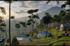 5 Aktivitas Seru di D'bunder View Bogor, Camping hingga Hiking
