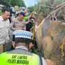 Kemenhub Temukan Dugaan Pemalsuan Dokumen Bus ALS yang Kecelakaan di Muratara