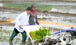 Raih Posisi Menteri Terbaik Kedua di Survei SPIN, Mentan Amran Optimistis Capai Swasembada Pangan di Akhir 2025