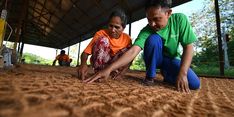 Tingkatkan Perekonomian Petani Kelapa, Antam Berikan Pendampingan Pengolahan Serabut Kelapa Jadi Produk Bernilai Jual