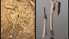 Metode Mumi Tertua Ada di Indonesia, Jauh Lebih Kuno dari Mesir