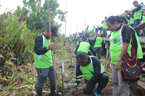 Bupati Asmat Ajak Masyarakat Tanam Pohon Meski Struktur Tanah Berlumpur