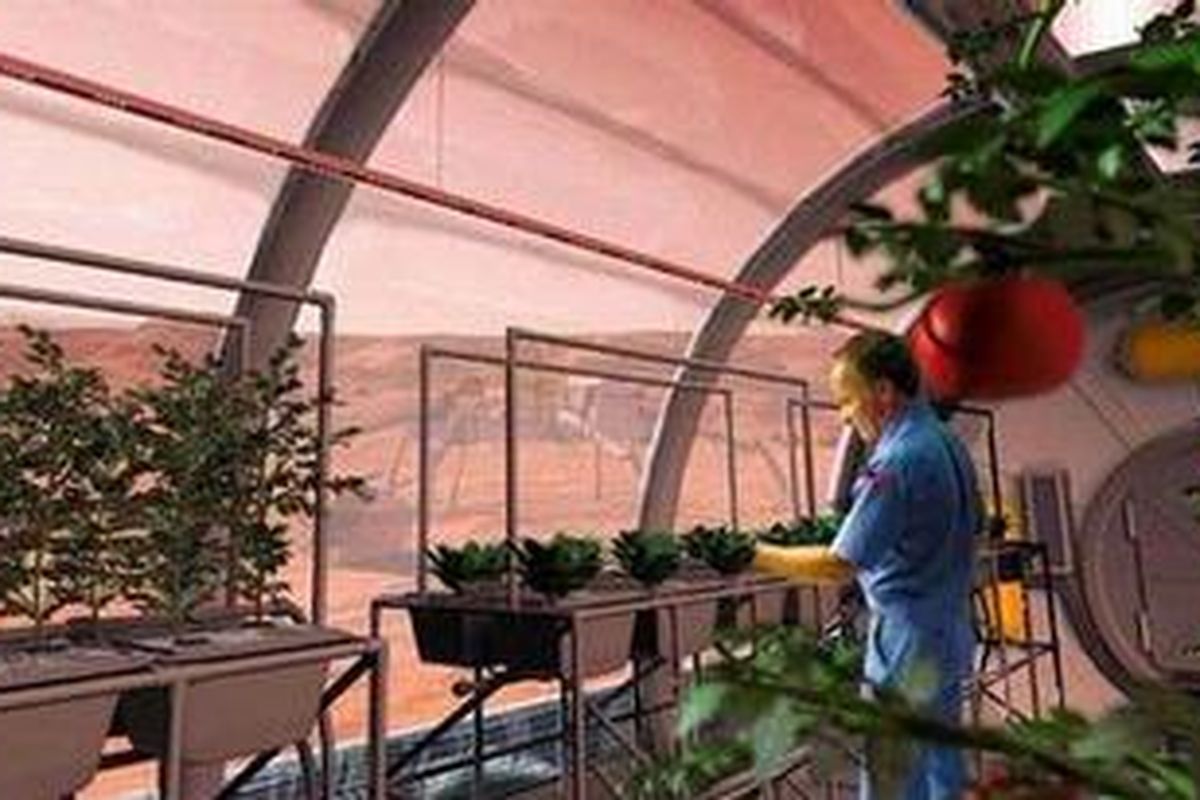 Di Mars, Lebih Baik Jadi Vegetarian