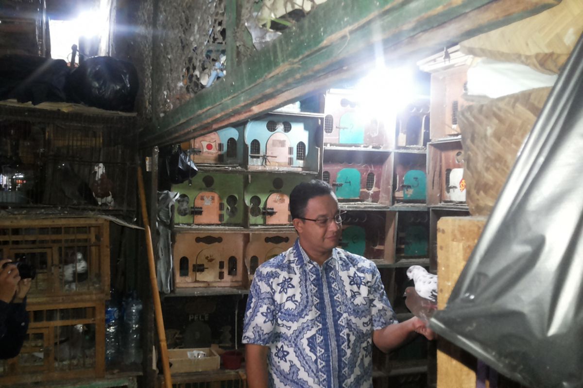 Calon gubernur DKI Jakarta Anies Baswedan saat berkunjung ke Pasar Burung Jalan Pramuka, Jakarta Timur, Selasa (2/5/2017).