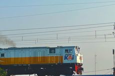 Nick Reiner Didakwa atas Pembunuhan Rob Reiner dan Istrinya