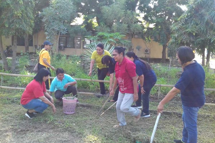 Foto : Gerakan PSN Masal di dalam kota Maumere, Kabupaten Sikka, NTT, Jumat (12/3/2020).