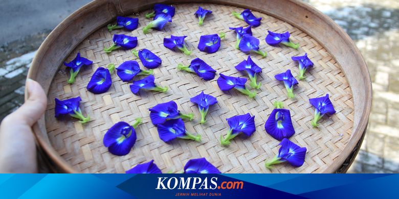 バタフライピーの花は直接食べられるのでしょうか？ これが説明です…