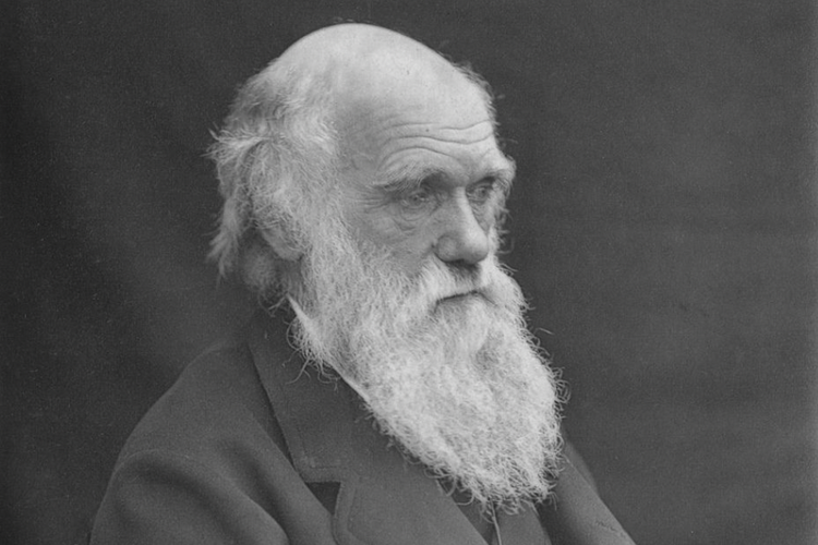 Potret Charles Darwin.