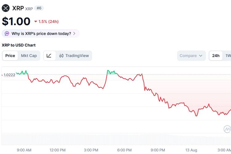 Harga XRP Hari Ini 13 Agustus 2026 Terperosok Dalam