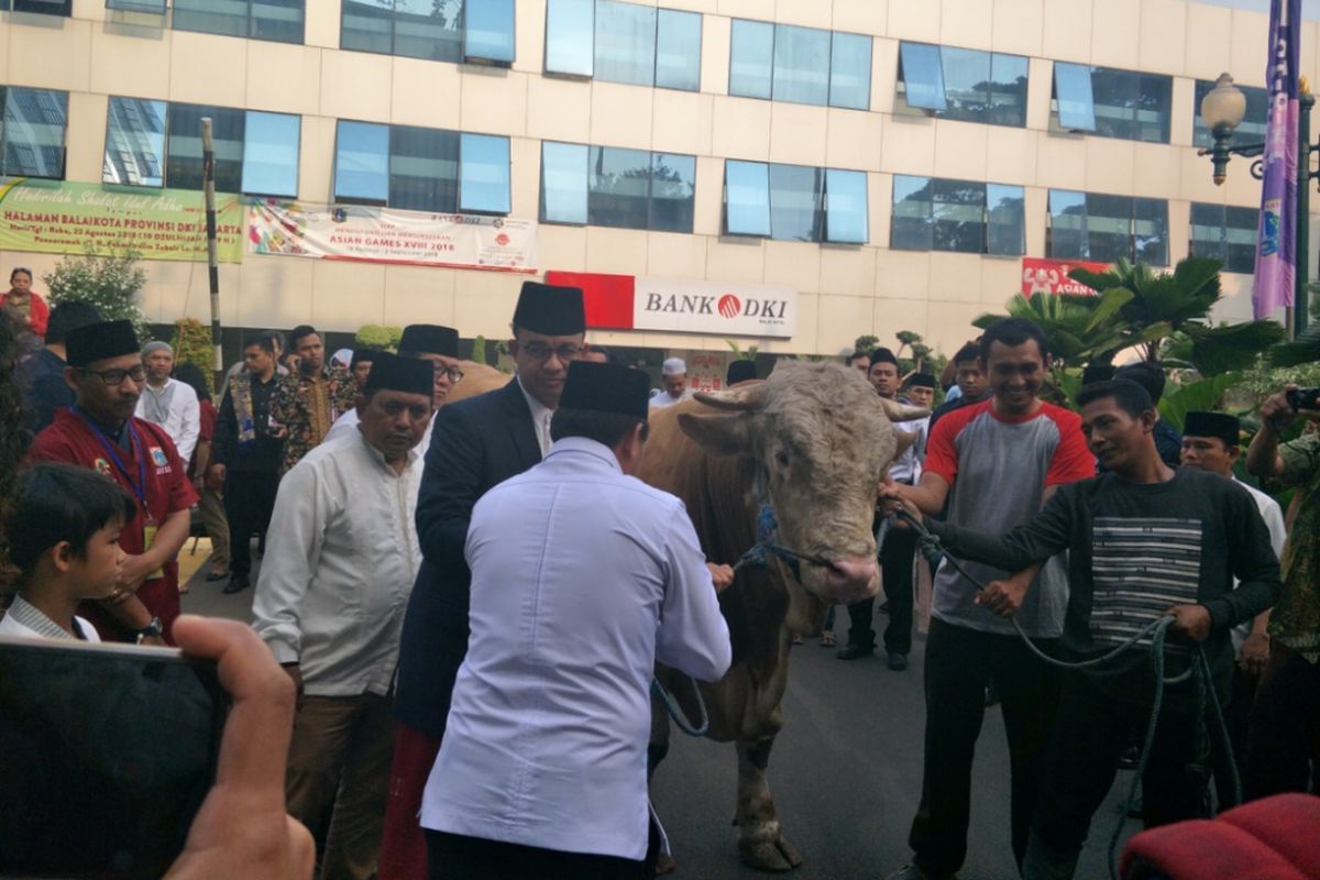 Gubernur DKI Jakarta Anies Baswedan menyerahkan hewan kurban ke Masjid Farahillah yang terletak di komplek Balai Kota DKI Jakarta, Selasa (22/8/2018).