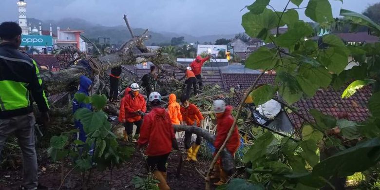 Pohon tumbang timpa empat rumah di Sumedang Selatan, Sumedang, Jabar, Senin (1/11/2021). 