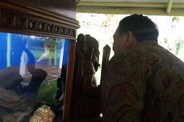 Gubernur DKI Jakarta Basuki Tjahaja Purnama saat asik melihat ikan arwana di salah satu lorong Kantor Presiden, Jakarta, Selasa (18/4/2017).
