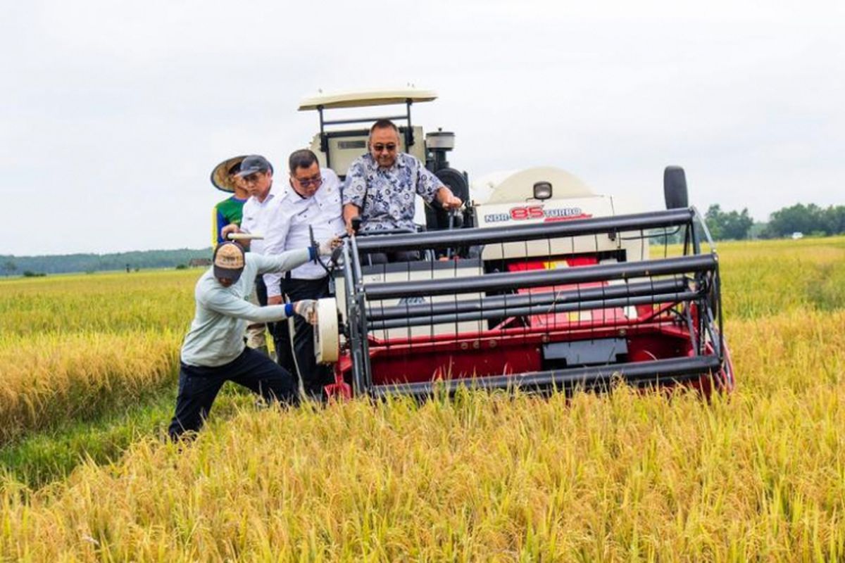 Direktur Jenderal Prasarana dan Sarana Pertanian (PSP) Kementerian Pertanian (Kementan), Pending Dadih Permana sedang mencoba combine harvester, kendaraan panen padi, 