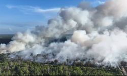 Karhutla Awal 2026 Naik Dibandingkan Tahun El Nino 2019 dan 2023, Ada Apa? 