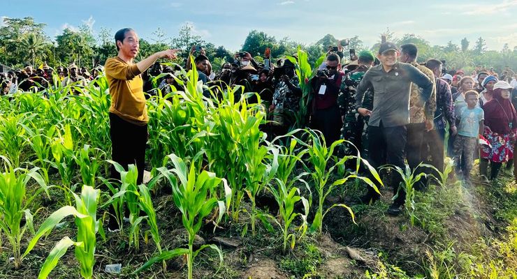 "Food Estate" Dikritik Cak Imin dan Mahfud, Istana Akui Perlu Evaluasi dan Penyempurnaan