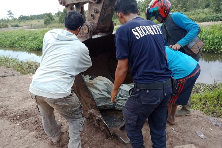 Evakuasi jenazah Alif, pemancing yang tewas dimakan buaya di kabupaten Banyuasin, Sumatera Selatan.