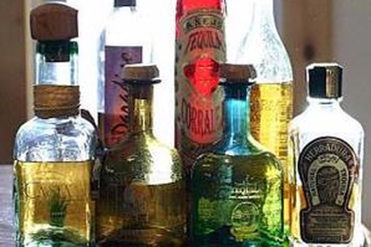 Berbagai jenis minuman tequila.