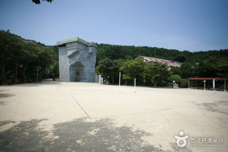 Geumnyeonsan Youth Training Institute di Busan, Korea Selatan. Kota Busan, Korea Selatan, menyiapkan akomodasi terjangkau jelang konser BTS pada Juni 2026 nanti. Salah satunya ada di kuil.
