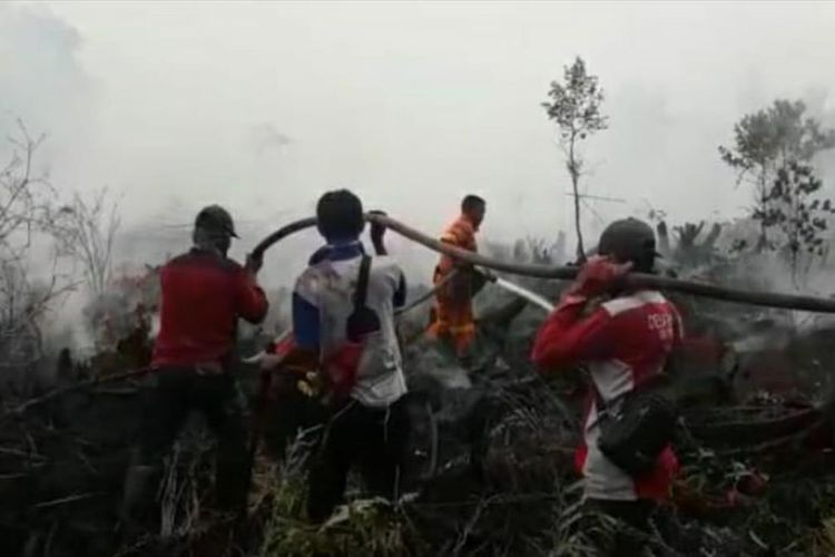 Tim Manggala Agni Daops Rengat berupaya memadamkan api karhutla di Desa Penarikan, Kecamatan Langgam, Pelalawan, Riau, Senin (29/7/2019). 