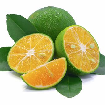 Ilustrasi buah lemon cui atau jeruk kunci.