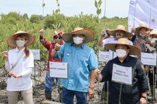 Mowilex Kembali Tanam 10.000 Bibit Mangrove di Langkat