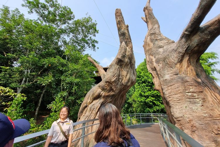 Wild life facilitator di Bird Paradise Singapura Kaiyan, saat memandu tur, Kamis (5/10/2023).