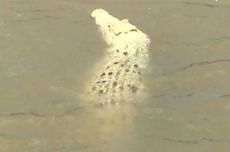 Alasan Kenapa Jarak Aman Berkendara Harus Lebih Panjang Saat Hujan