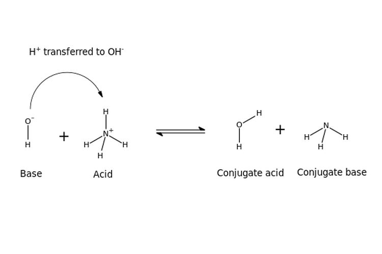 Reaksi perpindahan proton dari asam bronsted yang berubah menjadi basa konjugasinya. 