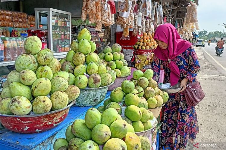 Sholehah, pedagang mangga di Jalur Pantura Palangsari Kabupaten Indramayu, raup jutaan rupiah dalam sehari selama musim mudik dan arus balik Lebaran 2022. 