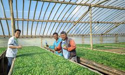 Pengetahuan Jadi Bekal Petani dan Perajin Pangan untuk Lebih Mandiri